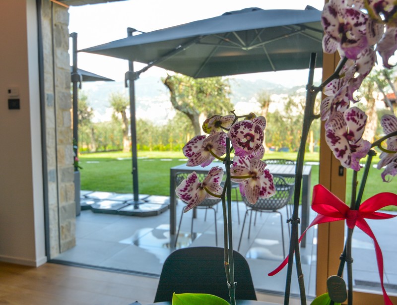 Olivo Luxury